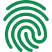 Brand Reputation Audit - Visual Identity and Brand Recognition